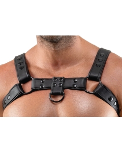 Chest Harness